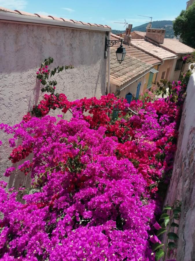 Beautiful Renovated Studio With View- Old Hyères Dış mekan fotoğraf